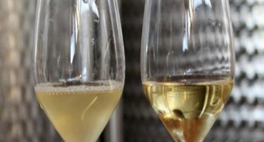 Jak objasnit víno želatinou doma, pravidla a proporce